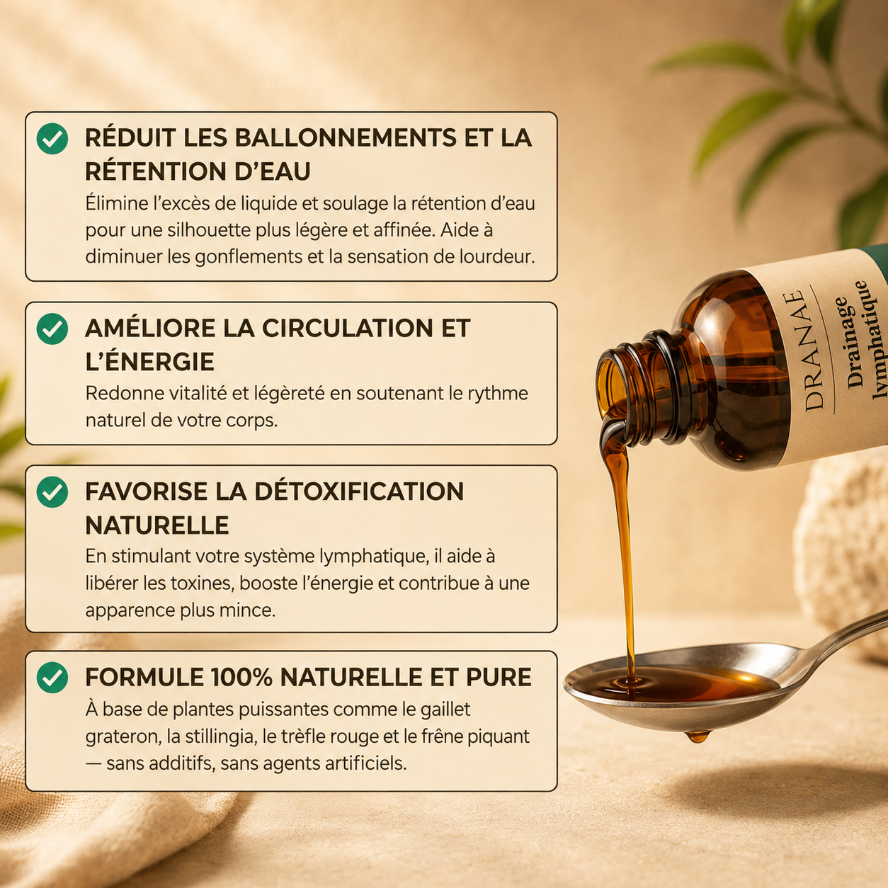 Drainant Lymphatique